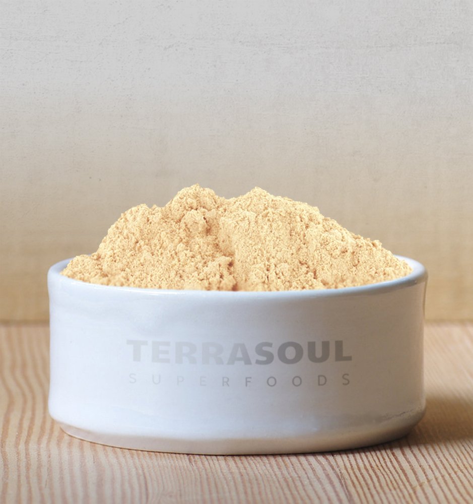 Terrasoul Superfoods Organic Ginger Powder, 2 Lbs (2 Pack) - Lab-Tested | Raw | Potent Spicy Flavor