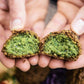 Kareems Frozen Falafel - Vegan/Gluten-Free Authentic 4LB (64oz) Fresh/Frozen Falafel Mix (Uncooked & Oil Free)