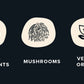 Rising Tide Organic Mushroom Superfood Creamer - Coconut Milk Powder, Lions Mane Mushrooms, & MCT Oil - Dairy Free, Unsweetened,