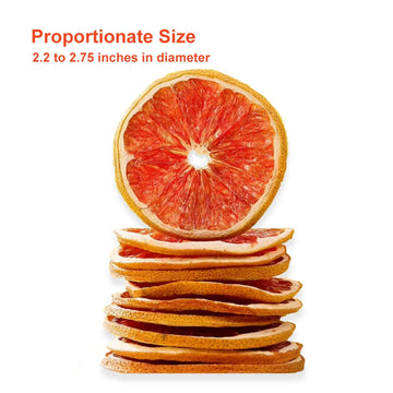 Fraunitsh Dried Grapefruit Slices 3.17Oz/90G, Dehydrated Grapefruit Slices, 20+ Slices, Dehydrated Fruit For Cocktails Crafts De