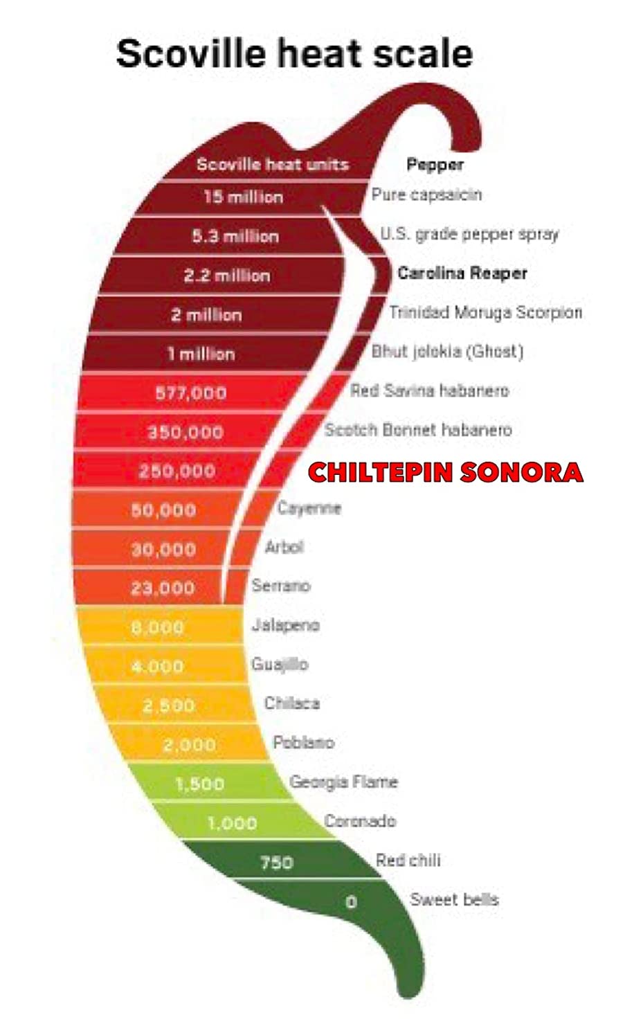 Chiltepin Sonora Dried Chiltepin Peppers (Chile Tepin) - .5Oz Jar - Great For Use With Seafood, Sauces, Stews, Salsa, Meats. Ver
