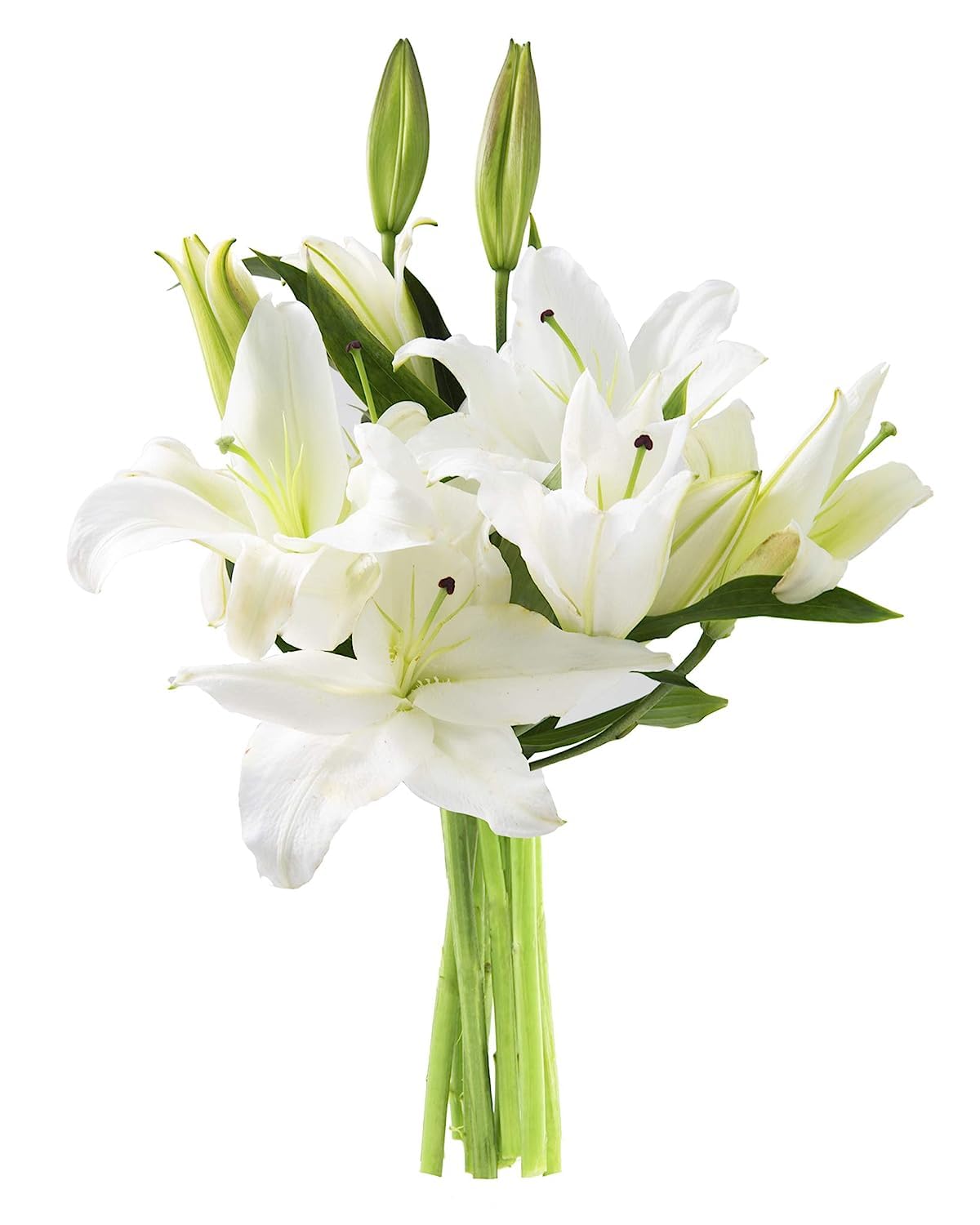KaBloom Flowers - Sympathy Oasis of Comfort Bouquet of 5 White Oriental Lily Without Vase - Gift for Birthday, Anniversary, Than