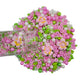 Eastron Pink Flowers Sprinkles Edible Flowers for Cake Decorating White Pink Sugar Pearls Spring Confetti Sprinkles for Cupcakes
