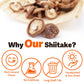 Dried Shiitake Mushrooms - Whole, Rich In Vitamin D, Potassium & Iron, Low Calories, Quick Hydration - Perfect For Ramen, Soups,