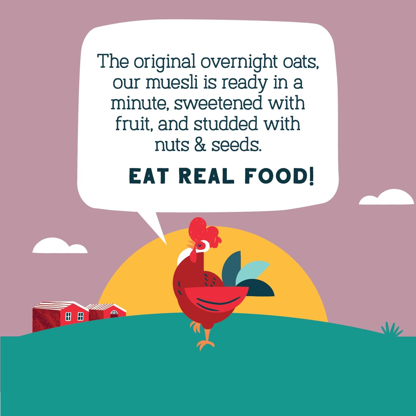 Seven Sundays Organic Muesli Cereal, Farmers Market Almond Date Currant, 32 Oz Bag (Pack of 4), Gluten Free, 0g Added Sugar, Enj