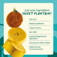 GoodSAM Baked Sweet Plantain Chips, 0.7oz (Pack of 16) - Non GMO, Vegan, Regenerative Faming, Direct Trade