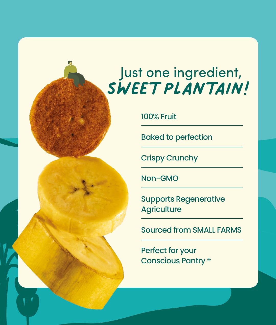 GoodSAM Baked Sweet Plantain Chips, 0.7oz (Pack of 16) - Non GMO, Vegan, Regenerative Faming, Direct Trade