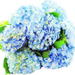 Kabloom Flowers - Beauty Bouquet Of 6 Blue Hydrangeas With Vase - Gift For Birthday, Sympathy, Anniversary, Get Well, Thank You, Valentine, Mother’S Day Fresh Flowers