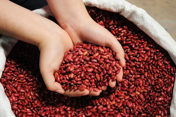 Frijol Rojo De Seda Nicaraguense!!