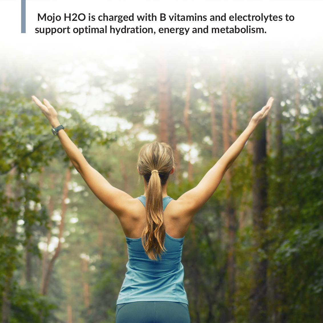 Biotrust Mojo H2O Natural Water Enhancer Drops, With B Vitamins And Electrolytes, Sugar-Free, Zero Calories, No Artificial Sweet
