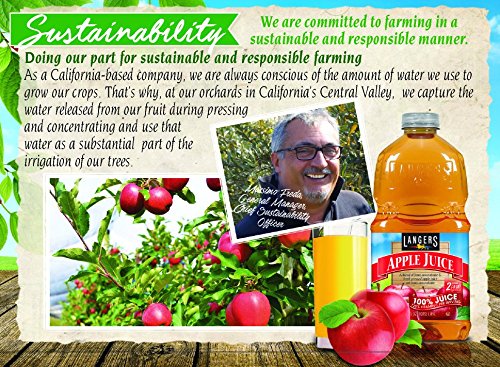 Langers 100% Juice, Apple, 101.4 Ounce (Pack Of 4)