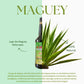 HERBALISTA Maguey Juice with Graviola, Moronel & Aloe - 33 Fl Oz (1 Pack)