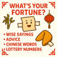 Sky Fortune Cookies 400 Pack | Premium Bulk Individually Wrapped Snacks | 350 Count