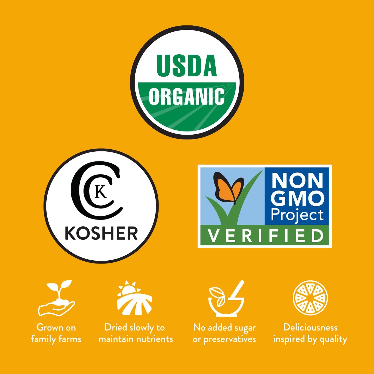 Fruit For Thought Organic Dried Mango Snack Packs, No Sugar Added, 16 Ounce (Pack of 2)