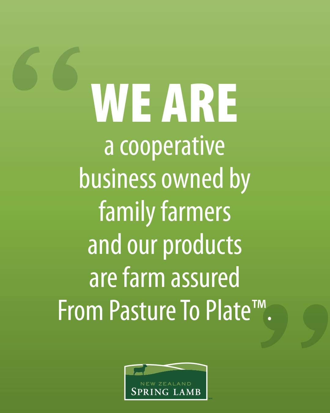 New Zealand Spring Lamb, Fresh New Zealand Ground Lamb Brick, 1 lb