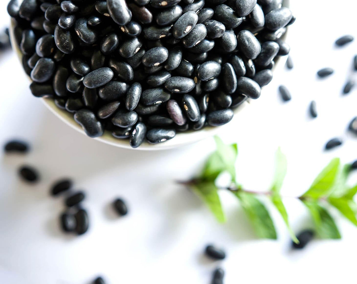 Food to Live Organic Black Beans, Non-GMO, Vegan, 15 Pounds, Bulk, Great Source of Plant-Based Protein and Fiber
