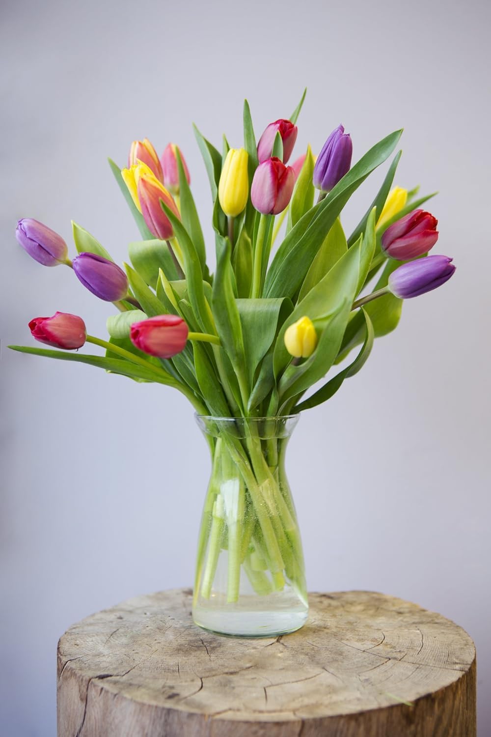 Kabloom Flowers -Valentine'S Day Collection - 20 Assorted Tulips With Vase, Gift For Birthday, Sympathy, Anniversary, Get Well,