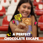 Pozuelo Chiky 16.9oz Cream Covered Cookies From Costa Rica (Pack of 3) (Chocolate)