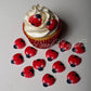 Oasis Supply Set Of 12 Edible Sugar Ladybug Toppers For Cakes Or Cupcakes