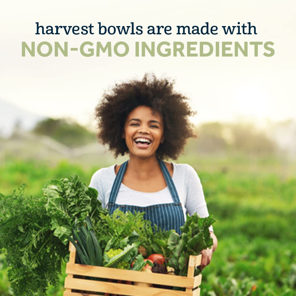 Gerber Up Age Mealtime Harvest Bowl Pesto, 4.5 Oz