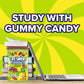 LIFE SAVERS Sour Gummy Candy Pack, Individually Wrapped Candy Bulk, Variety Flavors Box, 12 Bags of Sour Gummies