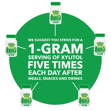 Zellie'S | 100% Xylitol Sugar Free Spearmint Breath Mints | Non-Gmo, Low-Calorie, Gluten Free, Vegan & Kosher Mints (250 Count -
