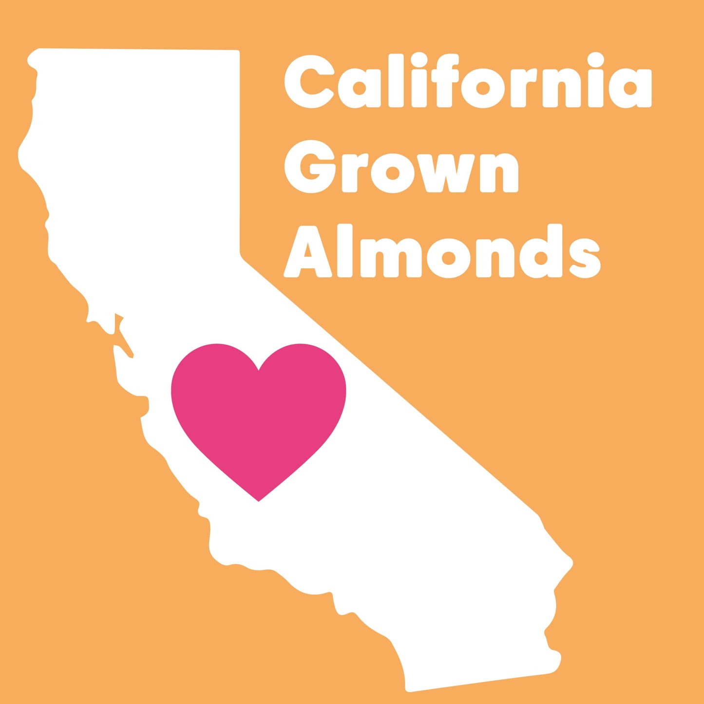 Wilderness Poets, Roasted Almond Butter - Organic, Smooth, Creamy, No Salt, Unsweetened Nut Butter - Bulk Size (40 Pound - 5 Gal