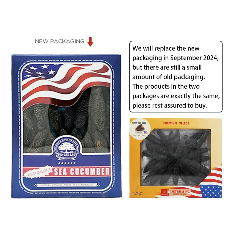 DABC OAK LAND Wild Caught Sun Dried Atlantic Black Sea Cucumber, 30-40pcs, Large 8oz Box, All Natural Nutritious海参