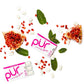 Pur Gum | Aspartame Free Chewing Gum | 100% Xylitol | Natural Pomegranate Mint Flavored Gum, 9 Pieces (Pack Of 12)