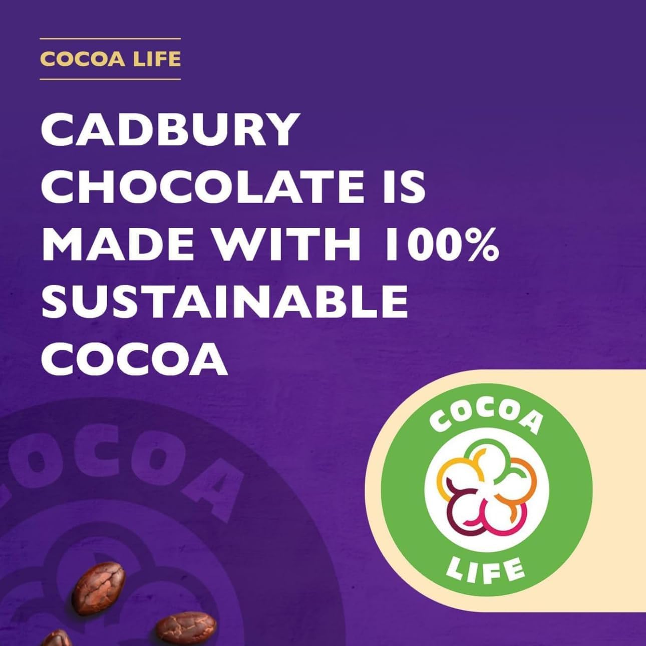 Cadbury Drinking Chocolate - 17oz. 500g