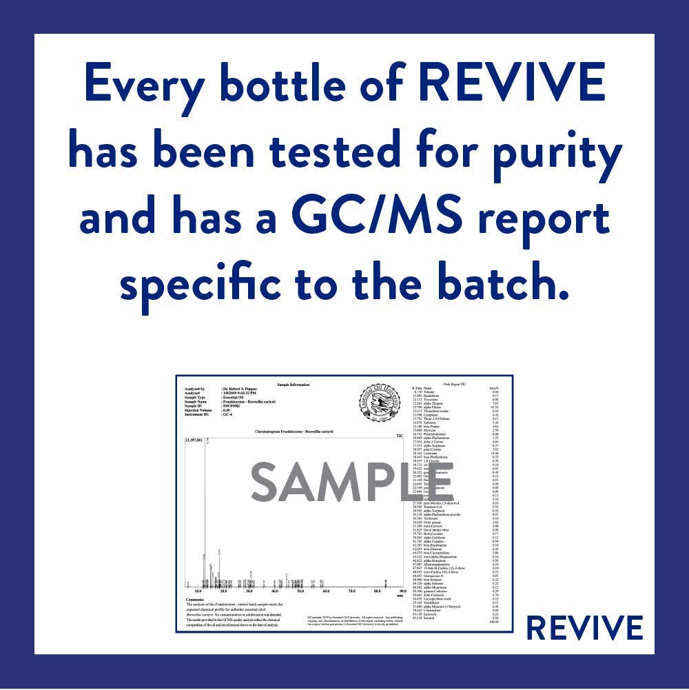 Clove Essential Oil By Revive Essential Oils - 100% Pure Therapeutic Grade, For Diffuser, Humidifier, Massage, Aromatherapy, Ski