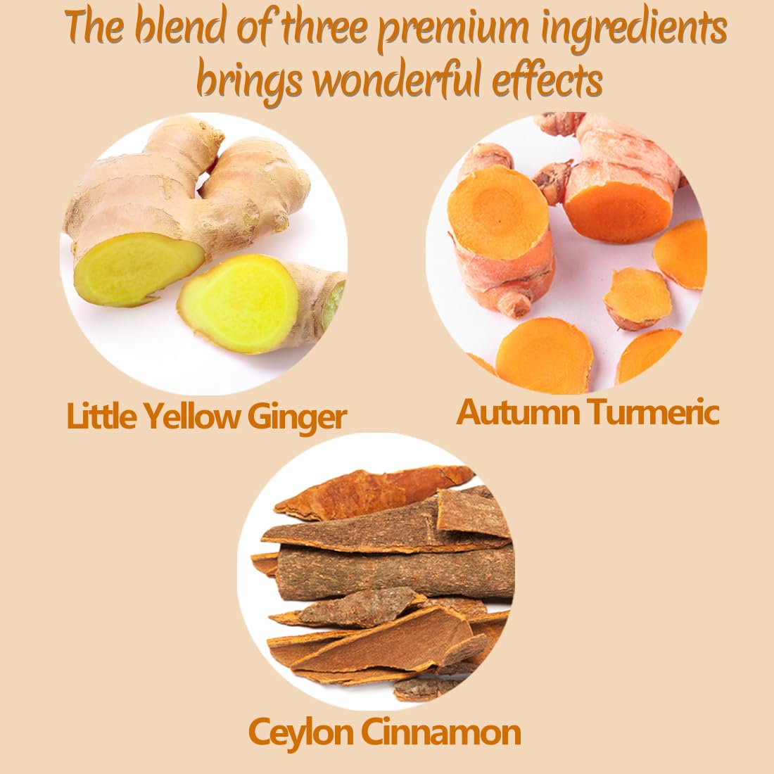 50 enhanced Turmeric  Ginger  Cinnamon Blend Tea Bags  100% Natural & No Additives & Caffeine Free.