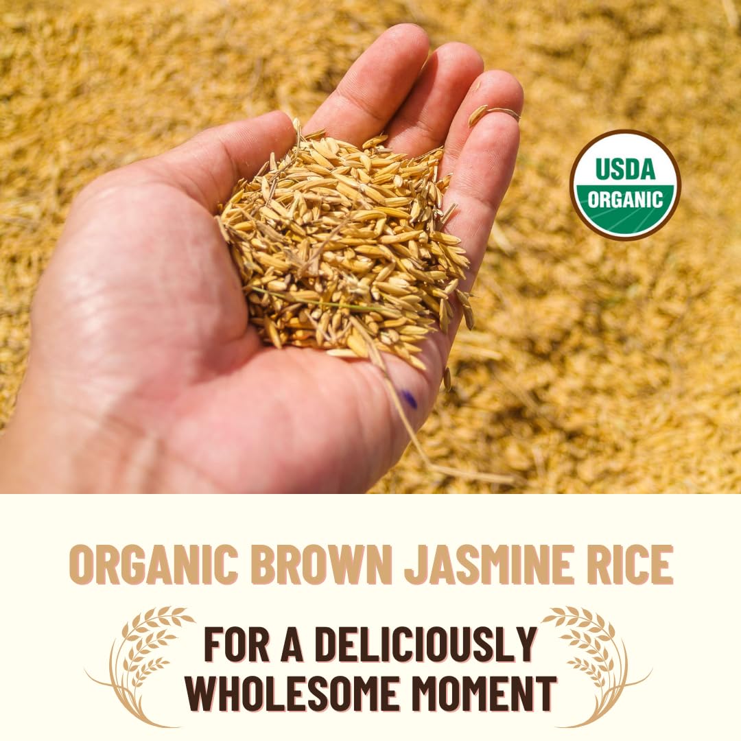 Mountain High Organics Inc. Certified Organic Jasmine Brown Rice 6G Bucket (40Lbs)