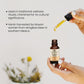 Abeja Reyna Melipona Honey - Raw & Unfiltered 20ml