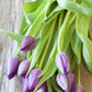 Kabloom Flowers -Valentine'S Day Collection - 10 Purple Tulips With Vase, Gift For Birthday, Sympathy, Anniversary, Get Well, Th