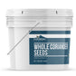 Earthborn Elements Whole Coriander Seeds 1 Gallon Bucket, Pickling & Meat Rubs, Spicy & Citrusy