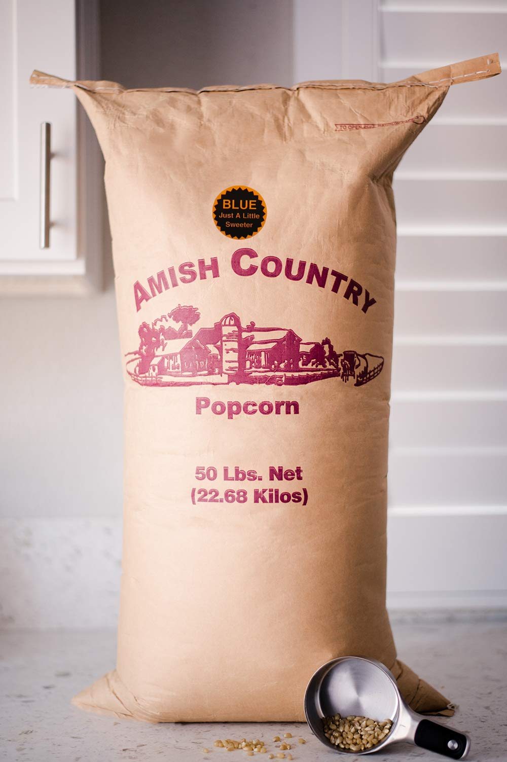 Amish Country Popcorn | 50 lbs Bag Blue Kernels | Old Fashioned, Non-GMO and Gluten Free (50lbs Bag)