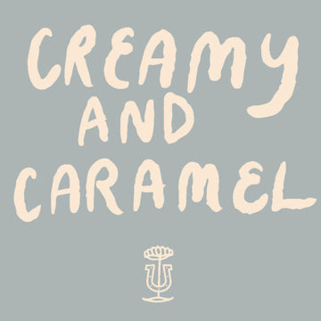 Stumptown Coffee Roasters, Organic Medium Roast Ground Coffee - Holler Mountain 12 Ounce Bag, Flavor Notes Of Citrus Zest, Caramel And Hazelnut