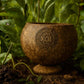 Ceremonial Cacao Ritual Bundle - Choice of Ceremonial Blend (1 lb) + Coconut Bowls + Signature Frother - Organic, Raw & Unsweete
