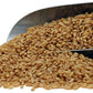 Organic Hard White Wheat Berries