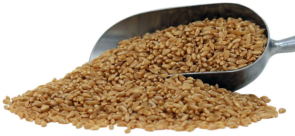 Organic Hard White Wheat Berries - 24lbs