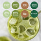 Cuppa Healthy Mushroom Matcha - Energy & Focus Drink with Lion's Mane & Ashwagandha, 30 Servings, Nootropics for Brain & Gut Health