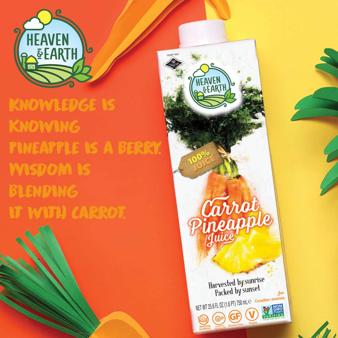 Heavan & Earth 100% Carrot And Pineapple Juice 25.6 Oz (2 Pack)