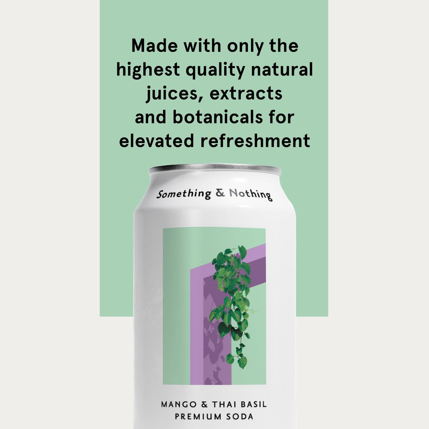 Something & Nothing Mango & Thai Basil Flavored Sparkling Water | Lightly Carbonated & Full of Flavor with Added G & Lemon Juice | Vegan & Low Calorie enhanced Soda | 12 Fl Oz Cans (Pack of 12)