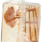 Sesmark Foods Original Savory Thins ( 12X3.2 Oz) ( Value Bulk Multi-Pack)