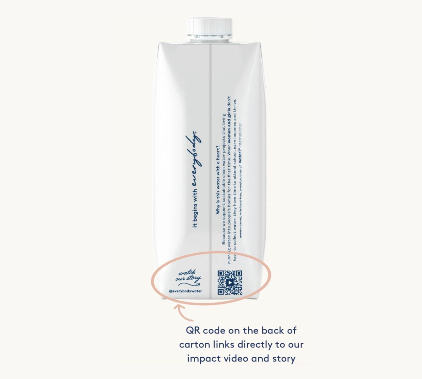 Everybody Water  Boxed Water  enhanced Filtered Still Waters  12 Pack Reverse Osmosis  Bulk Eco-Friendly  BPA Free  Fully Recyclable Plant Based Carton - Certified Woman Owned 16.9 Fl Oz / 500ml Carton (Pack of 12)