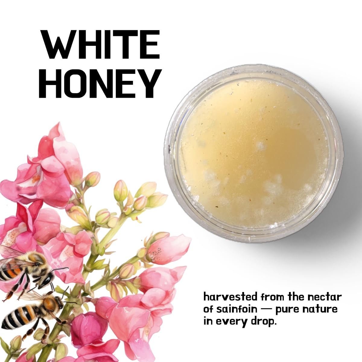 Natural White Honey | 100% Pure | Raw Honey | No Sugar Added | Daily Wellness Support | 570g (20.10 Oz)