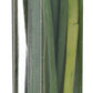 Herb Chives Organic, 0.75 Ounce