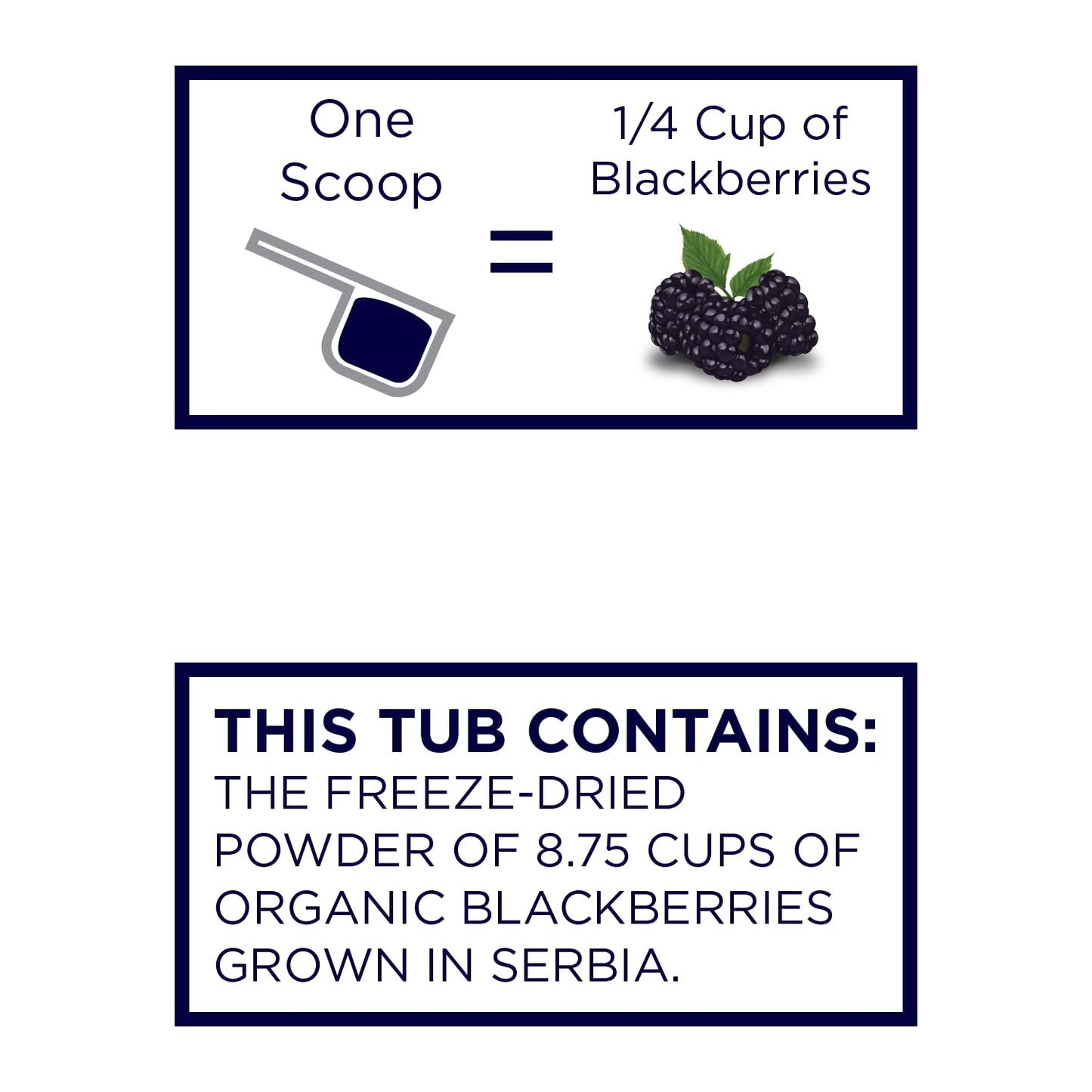 Koyah - Organic Blackberry Powder: 35 Servings (1 Scoop = 1/4 Cup Fresh): Freeze-Dried, Whole-Berry Powder, Raw