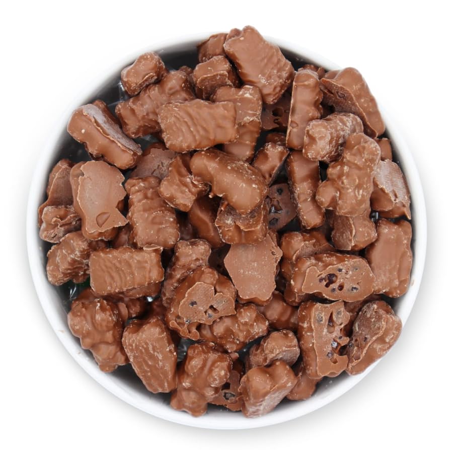 Sweetgourmet Milk Chocolate Covered Gummy Bears | Cherry, Orange, Pineapple, Strawberry/Banana | 1 Pound